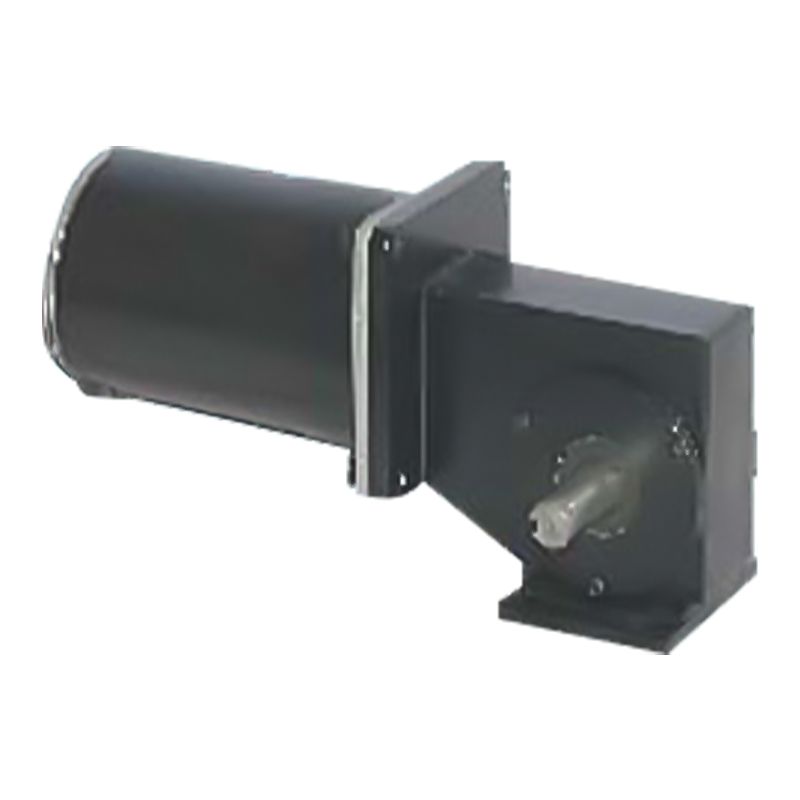 90JW/83ZY125 2000-3000 RPM Động cơ bánh răng trục vít nam châm vĩnh cửu