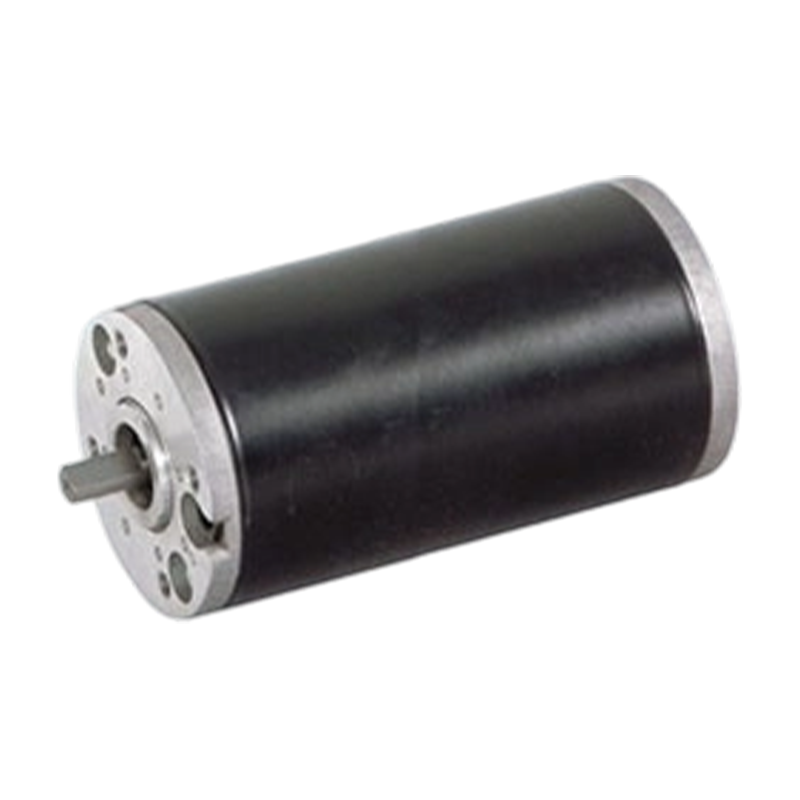 63ZY125 Động cơ DC chải nam châm vĩnh cửu cấp độ bảo vệ cao 63mm